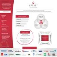 Garnet Capital Advisors Overview